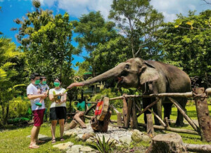 Read more about the article Gembira Loka Zoo
