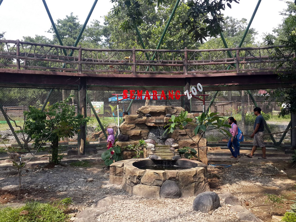 Daya Tarik di Wisata Semarang Zoo
