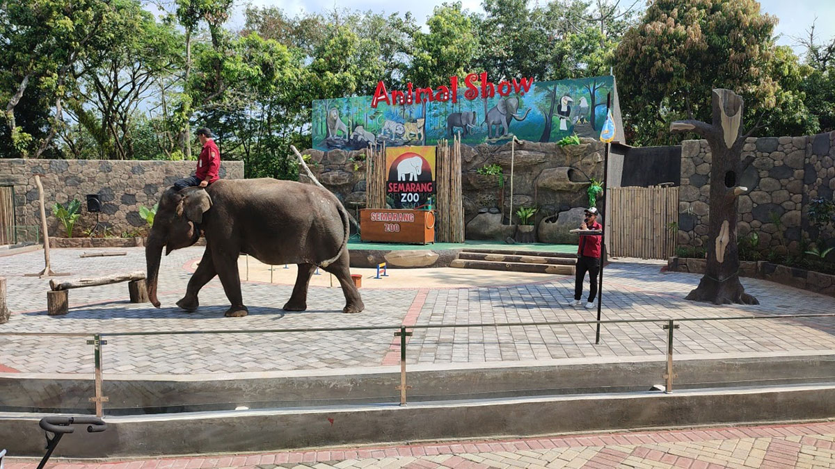 You are currently viewing Semarang Zoo