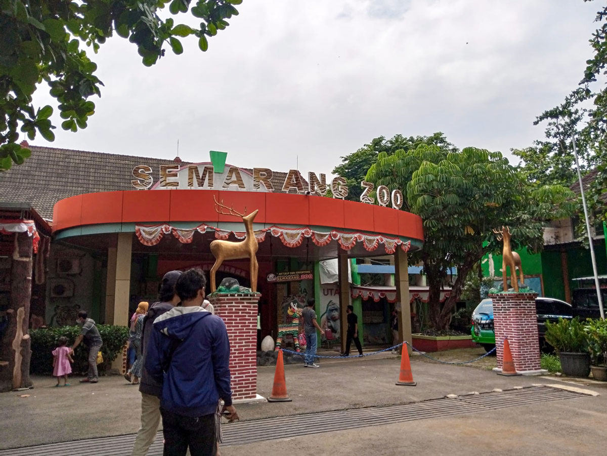 Wisata Semarang Zoo